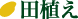 田植え